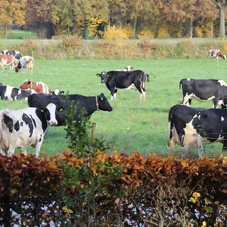 Even Heukelom - 2 Bed & Breakfast Afferden (Limburg)