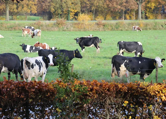 Even Heukelom - 2 Alojamento de Acomodação e Pequeno-almoço Afferden (Limburg)